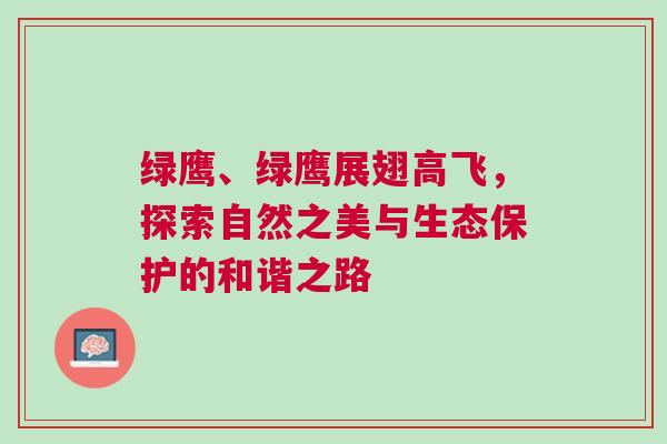 綠鷹、綠鷹展翅高飛，探索自然之美與生態(tài)保護(hù)的和諧之路