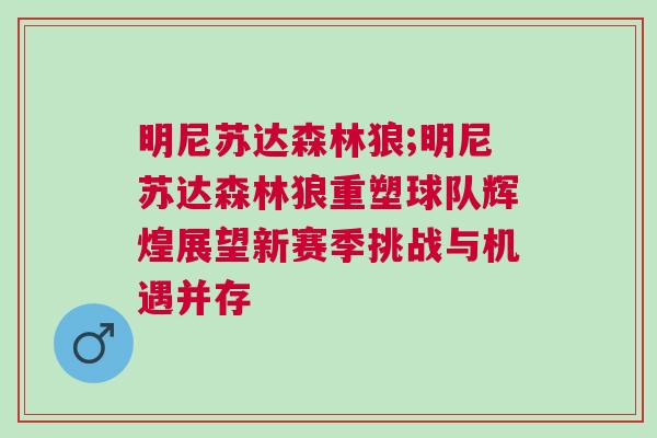 明尼蘇達(dá)森林狼;明尼蘇達(dá)森林狼重塑球隊(duì)輝煌展望新賽季挑戰(zhàn)與機(jī)遇并存