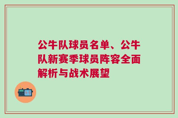 公牛隊(duì)球員名單、公牛隊(duì)新賽季球員陣容全面解析與戰(zhàn)術(shù)展望