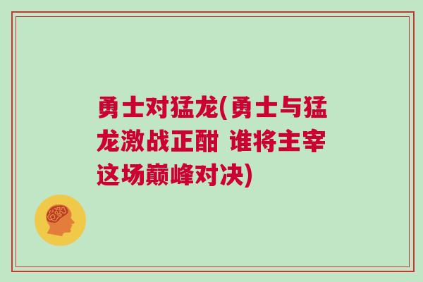 勇士對(duì)猛龍(勇士與猛龍激戰(zhàn)正酣 誰將主宰這場巔峰對(duì)決)