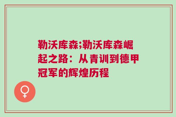 勒沃庫森;勒沃庫森崛起之路：從青訓(xùn)到德甲冠軍的輝煌歷程