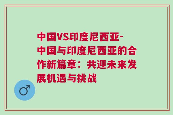 中國VS印度尼西亞-中國與印度尼西亞的合作新篇章：共迎未來發(fā)展機(jī)遇與挑戰(zhàn)