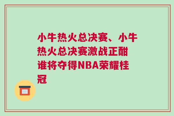 小牛熱火總決賽、小牛熱火總決賽激戰正酣 誰將奪得NBA榮耀桂冠