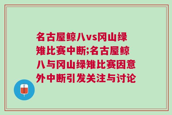 名古屋鯨八vs岡山綠雉比賽中斷;名古屋鯨八與岡山綠雉比賽因意外中斷引發關注與討論