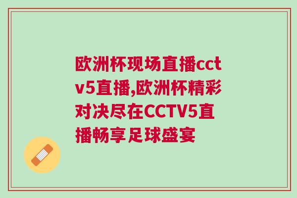 歐洲杯現場直播cctv5直播,歐洲杯精彩對決盡在CCTV5直播暢享足球盛宴