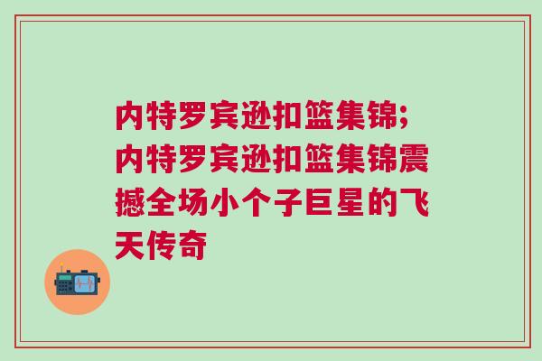 內(nèi)特羅賓遜扣籃集錦;內(nèi)特羅賓遜扣籃集錦震撼全場小個子巨星的飛天傳奇