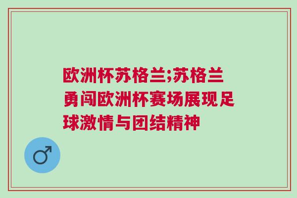 歐洲杯蘇格蘭;蘇格蘭勇闖歐洲杯賽場展現足球激情與團結精神